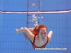 Katka roux jouant sous l'eau