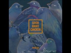 Good Night Chicken - Ahnd Jay [ÁLBUM COMPLETO]