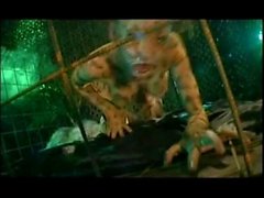 Amandla - Animal Instinct porno sueco