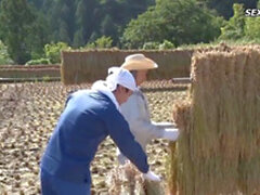 Mariée d'agriculteur (ENG SUB) (Nouveau! 2 février 2022) - SunPorno