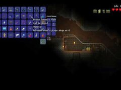 Terraria 13 S02 E01 Typisch początek PL