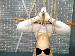 Bondage kön, kinesisk bondage bdsm, tecknad