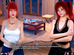 Visual Novel, PC Giochi porno